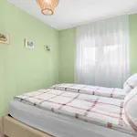 Amazing In With Wifi